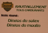 A l‘heure de l‘apéro, le bar était réservé à de drôles de DINGOS<br />