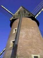 La queue ou le gouvernail fixé dans la charpente de la toiture